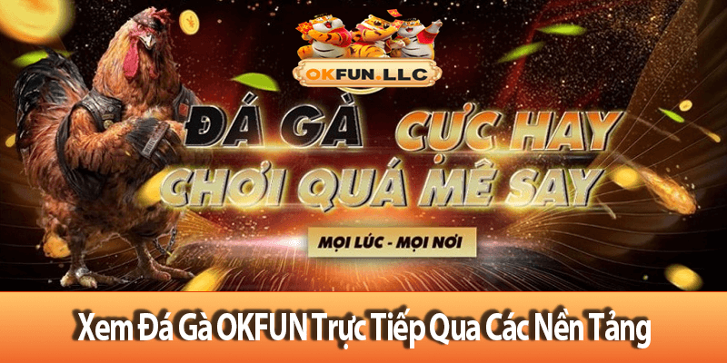 Xem Đá Gà OKFUN Trực Tiếp Qua Các Nền Tảng