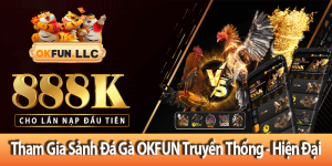 Đá Gà OKFUN - Văn Hóa Kỹ Thuật và Những Điều Anh Em Cần Biết